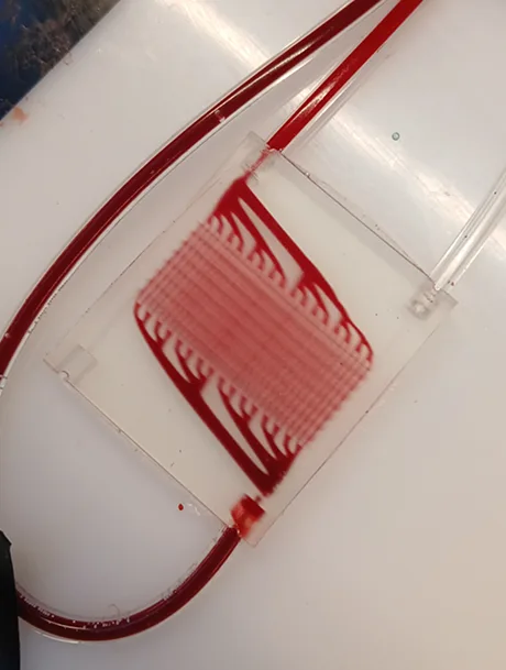 Physical OptiLung prototype connected to tubing, with dark-red blood entering at the bottom left and bright-red blood leaving at the top right.
